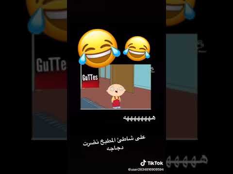 على شاطئ المطبخ رأيت دجاجة