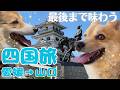 【四国旅⑥】四国旅もついに最終日...城に神社に最後まで楽しんでお家に帰ります！【愛媛/広島】今治城/大山神社/小谷SA