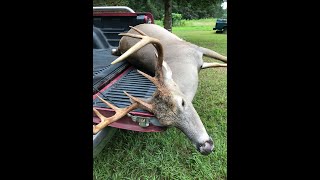 1st buck of 2020 season.