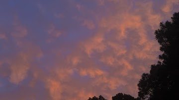 ASL-Unit 5- Activity 2- All videos