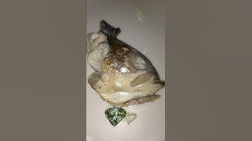 first video I ever make eveR