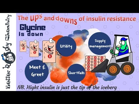 Glycine in the ups and downs of insulin resistance
