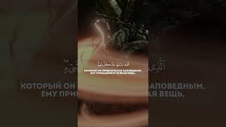 Чтец: Мухаммад Аль-Люхайдан Сура 27 Ан-Намль (Муравьи) аят 91 Красивое чтение Корана!