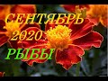 РЫБЫ. ТАРО-ПРОГНОЗ на СЕНТЯБРЬ 2020 г.