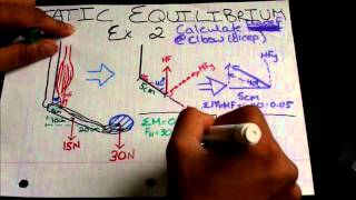 Biomechanics Static Equilibrium Tutorial Example 2