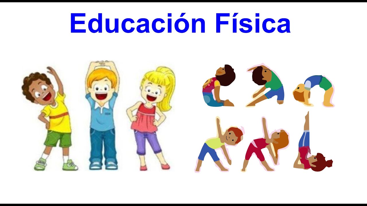 Educ Física S9 - YouTube