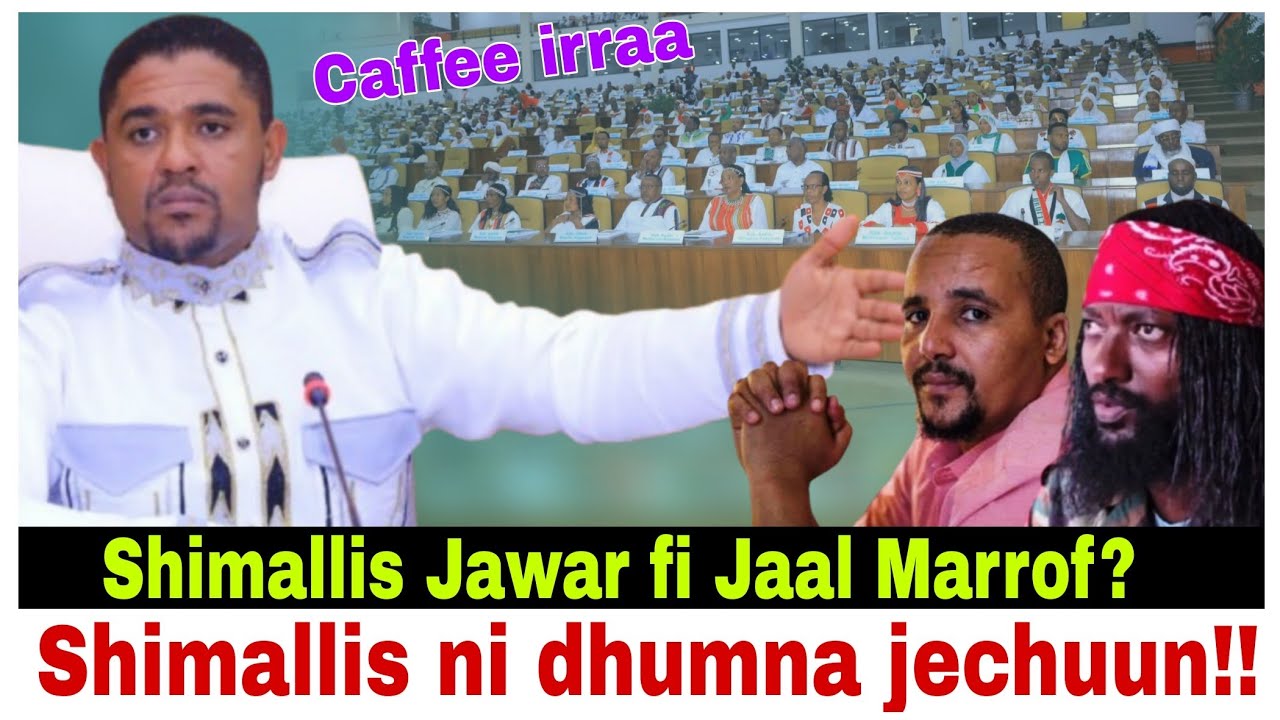 Shimallis ni dhumna jechuun Jawar fi Jaal Marroof?/14/2/2026 AGM