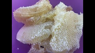 Sacando Miel de abeja