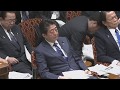 2020年3月2日 参議院予算委委員会
