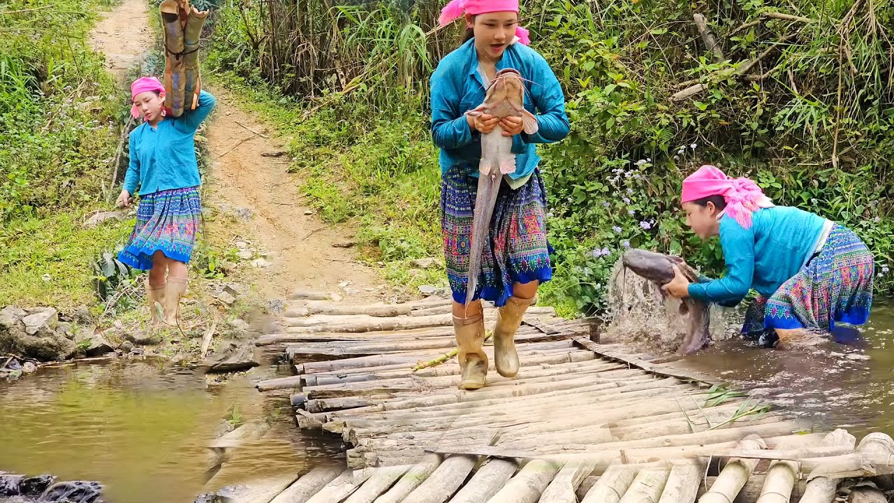 18 Year Old Girl Catches a Giant Stream Fish Alone in the Deep Forest | Peaceful Survival Life