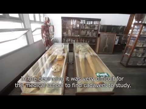 Video: Siriraj Medical Museum beskrivning och foton - Thailand: Bangkok