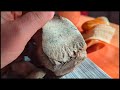 Une vidéo pour les accrocs aux cristaux et belles pierres