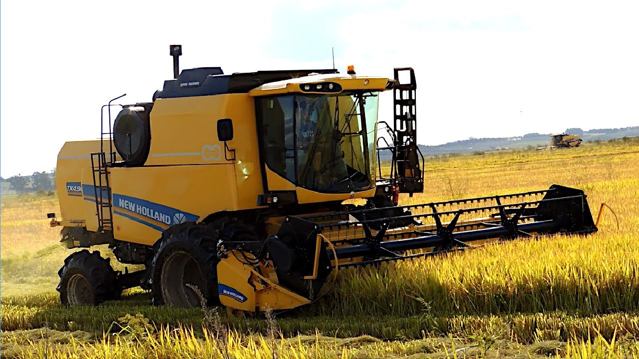 COLHEITA DO ARROZ 2021