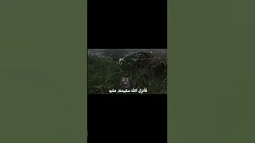 القارئ عبدالله باعزيز سوره التوبه إذ يقول لصاحبه لا تحزن إن الله معنا قرآن كريم قرآن 