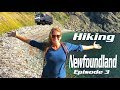 Hiking in Newfoundland | Bay of Islands, Cedar Cove EP3 | Liveandgive4x4