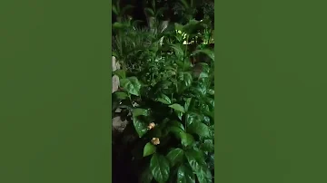 اللهم صل وسلم على سيدنا محمد النبي الأمي وعلى آله وصحبه وسلم 
