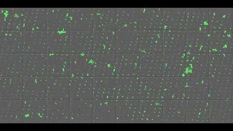 hsp104-GFP yeast cells in ALCATRAS