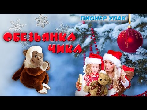 Пионер Пак Новогодняя Упаковка