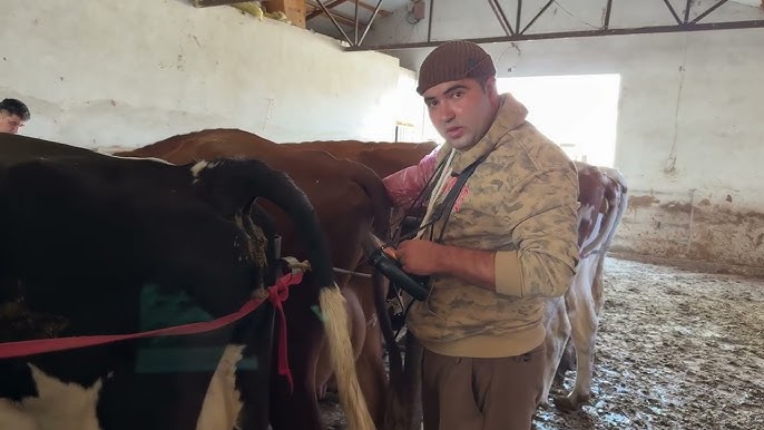 Непара порно фотосуреттері Өте икемді қыз өз қынапшасын жалайды