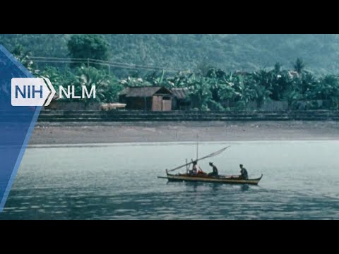 Island Way: A
