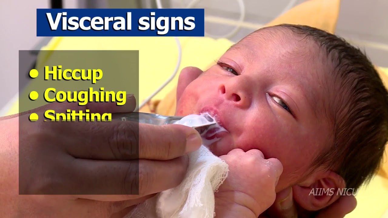 Indicators of pain and stress and its assessment