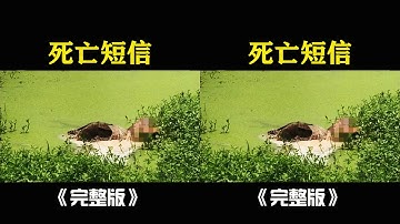 河邊突然出現高腐女尸，一切不正常！背后真相令人發指… #王德发故事会 #王德發故事會 #說案 #案件解說