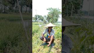 খরার গরমেও স্বস্তি! প্রাচীন এই কৌশল জানেন?#farmer #nature #heat #traditional