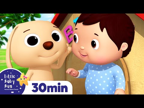 bingo-|-+more-nursery-rhymes-&-kids-songs-|-abcs-and-123s-|-little-baby-bum