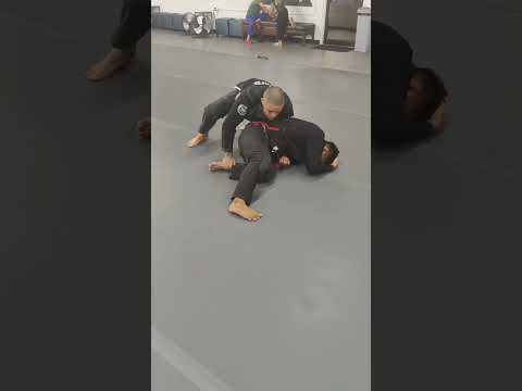 Wrist Ride Dagastani Turtle Break down to Back Take #bjj #gi #judo #wrestling