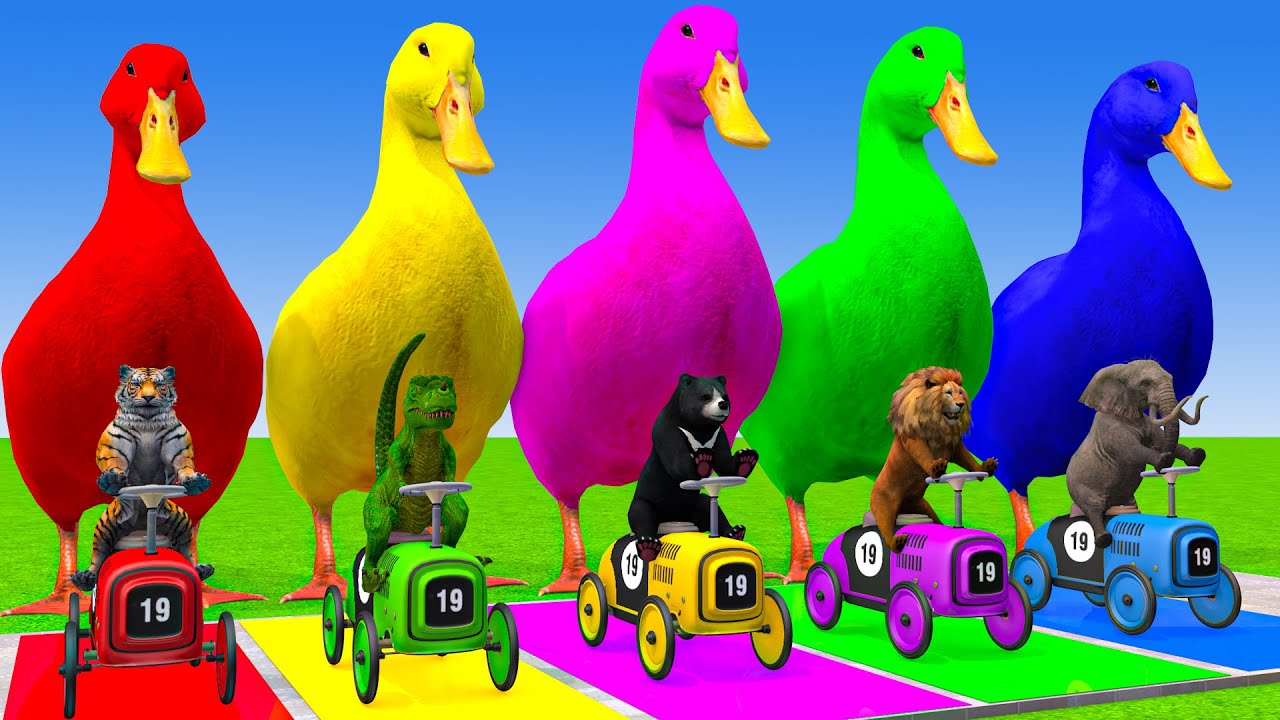 5 Giant Duck Cartoon,Cow,Elephant,Lion,Tiger,T-Rex, Paint Wild Animals Crossing Fountain Animation