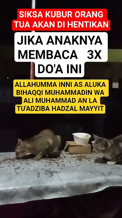 ucapan adalah doa #sholawat#doamustajab #penarikrezeki #motivasi #fyp #shortvideo