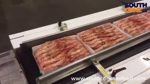 Argentina red shrimp  - L1 shrink wrapping machine