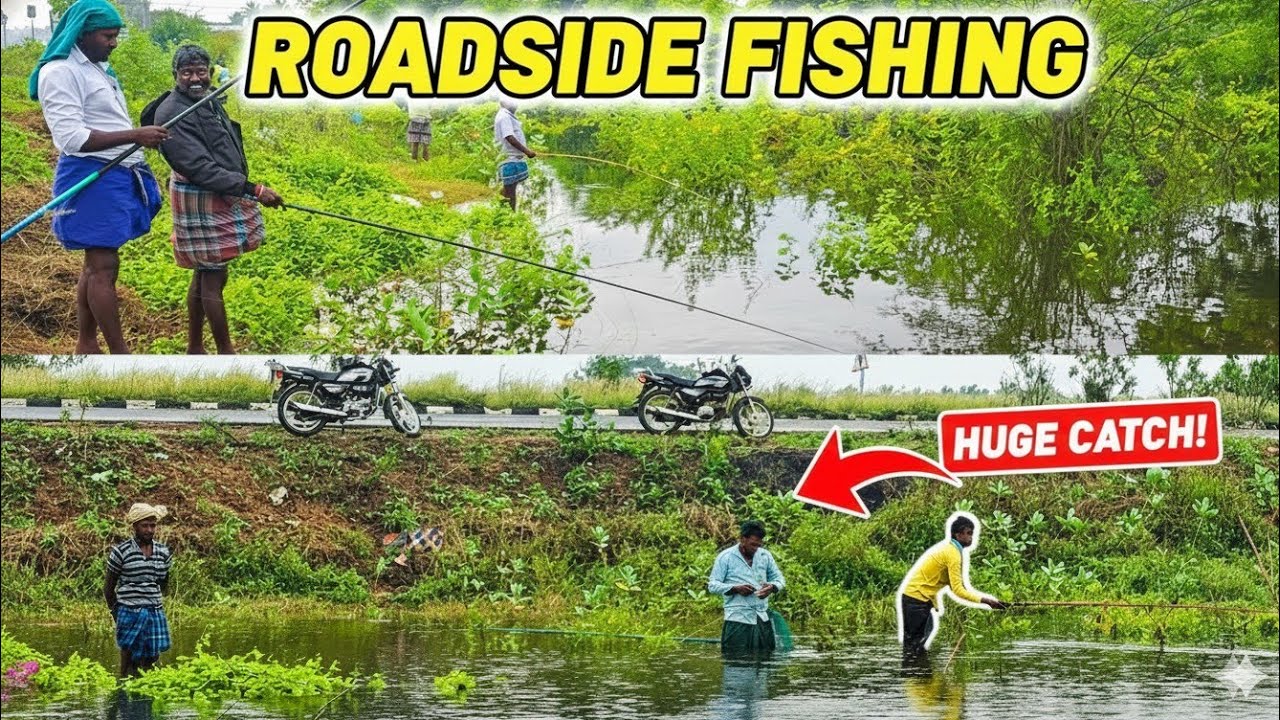 Fishing Experience🎣#fishing #bassfishing #sportfishing #ytshorts  #bassfishing #food