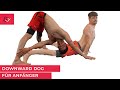 Movement für Anfänger - Herabschauender Hund - Heraufschauender Hund