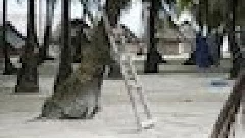 Real time object detection using YOLO