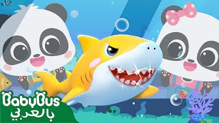 ذهب كيكي وميوميو إلى معرض الاسماك🦈 | أغاني الاطفال | بيبي باص🐙 | BabyBus Arabic