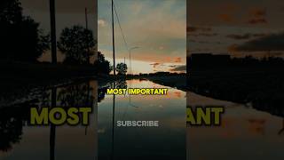 One Wrong Love Can Ruin Your Life Choose Wisely! Johnny Depp Relationship Advice #shorts #motivation