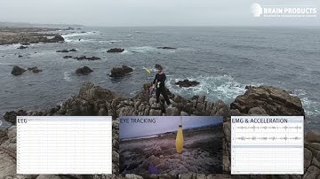 MoBI (Mobile Brain/Body Imaging) Research in Practice