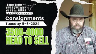 5/7/2024 Consignments - Beaver County Stockyards by Bluestem Digital Ag 136 views 3 weeks ago 1 minute, 12 seconds