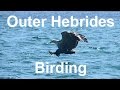 Outer Hebrides Birding May 2016