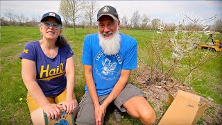 Blueberry Planting | New Varieties & Moving Weak Plants