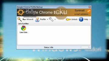 Google Chrome Backup