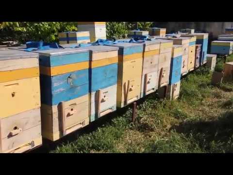 Какая нужна ширина