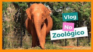 COMO TRABALHAR em um ZOOLÓGICO !! EDUCADOR AMBIENTAL / VLOG !!!