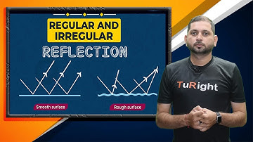 Regular and Diffuse Reflection of Light | Physics | Class 8