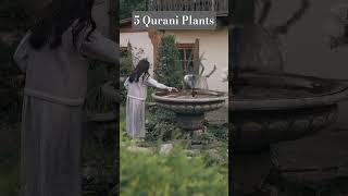 Healing Plants Mentioned in the Quran | Islamic Herbal Remedies &amp; Quranic Plants 2025#viral#trending
