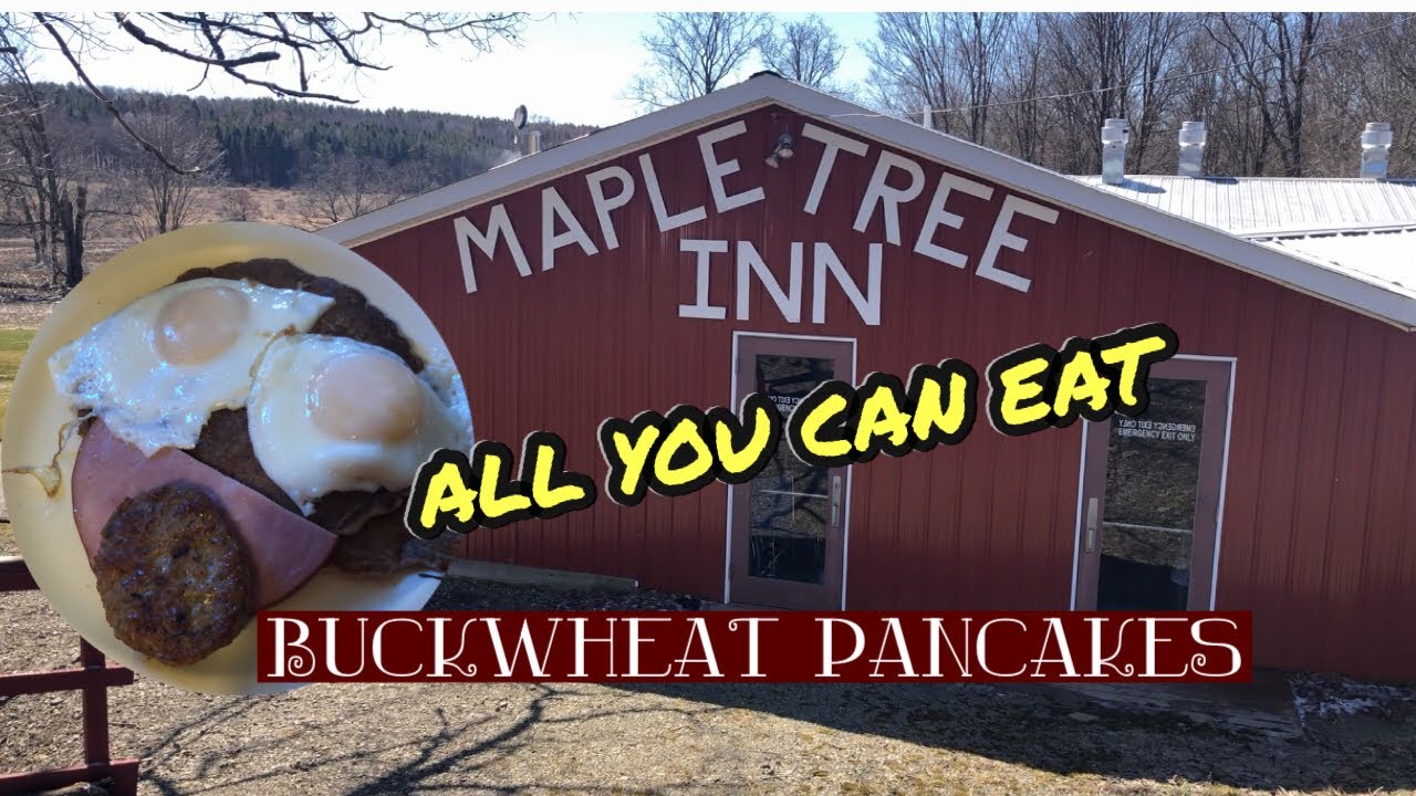 Cartwrights Maple Tree Inn / ALL YOU CAN EAT BUCKWHEAT PANCAKES / Angelica, NY YouTube
