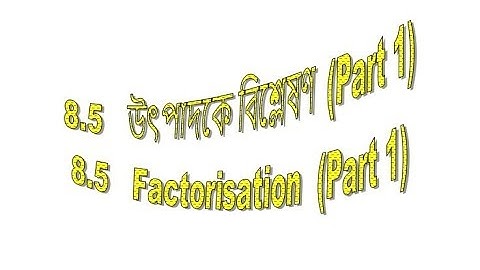 8.5  উৎপাদকে বিশ্লেষণ(Part 1)(Factorisation 8.5) class IX