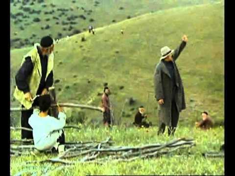 ნატვრის ხე_იორამი