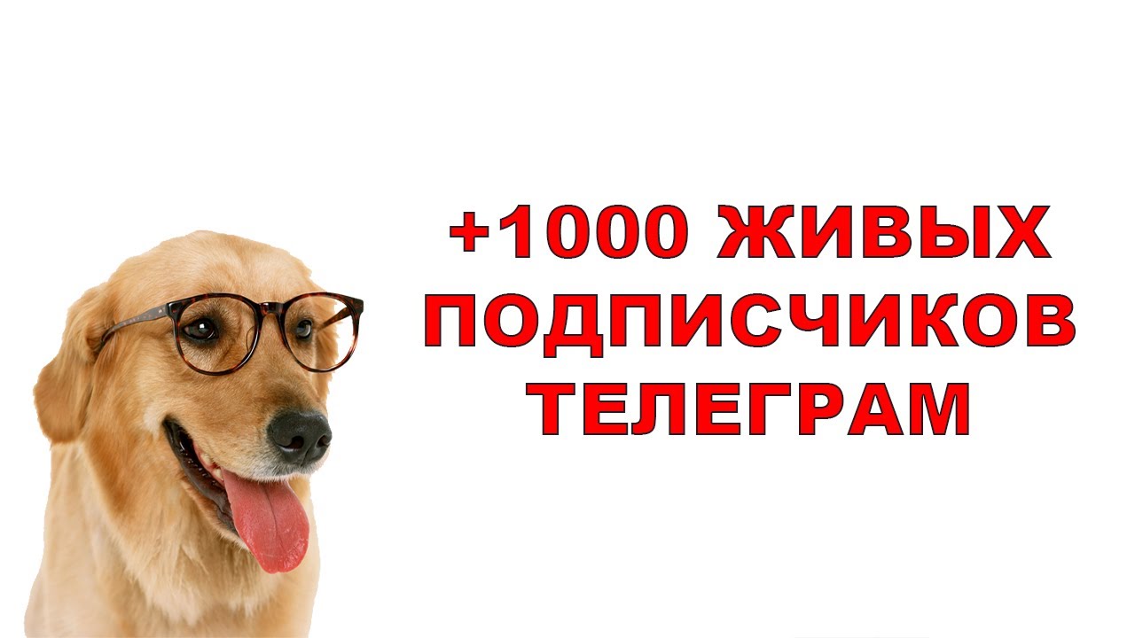 Живые Подписчики Телеграм Россия Купить